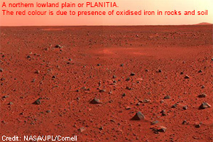 Northern lowland plain (planitia) on Mars covered by red soil and rocks