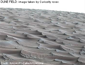 Image taken by a rover of a field of dunes